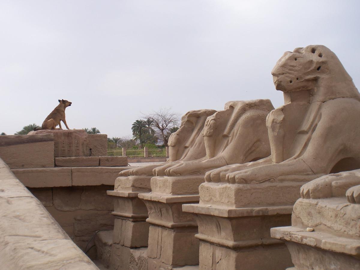 Luxor Vip Apartments エクステリア 写真